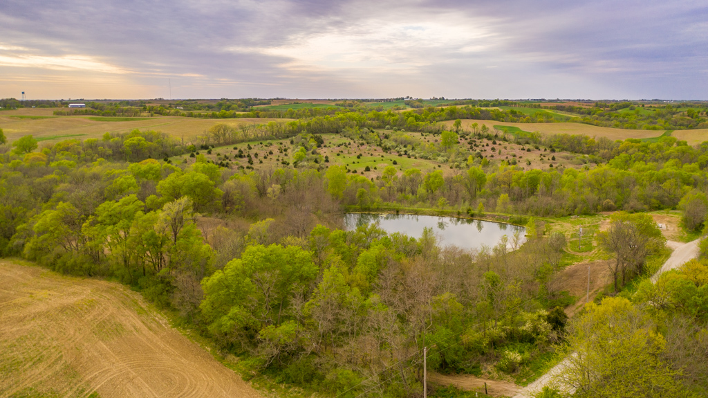 Buchanan 50 Midwest Land Group