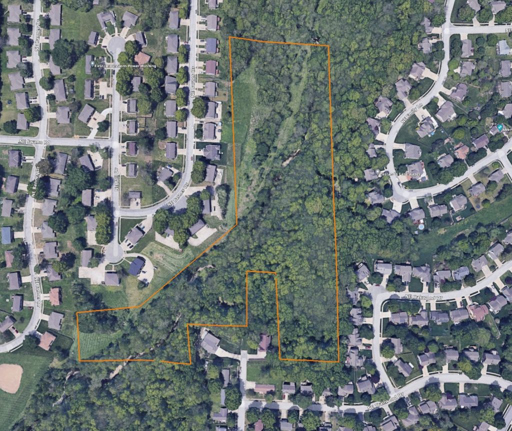 Timber Tract in Town: Aerial View