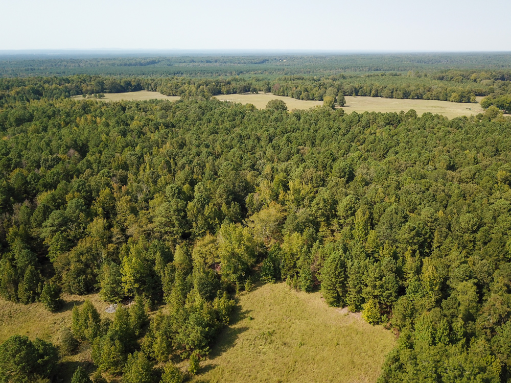 Clark 10.6 Midwest Land Group