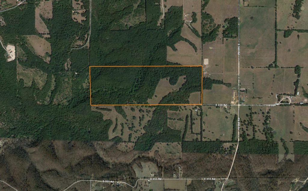 Secluded Property with Live Springs and Incredible Hunting Potential: Aerial View