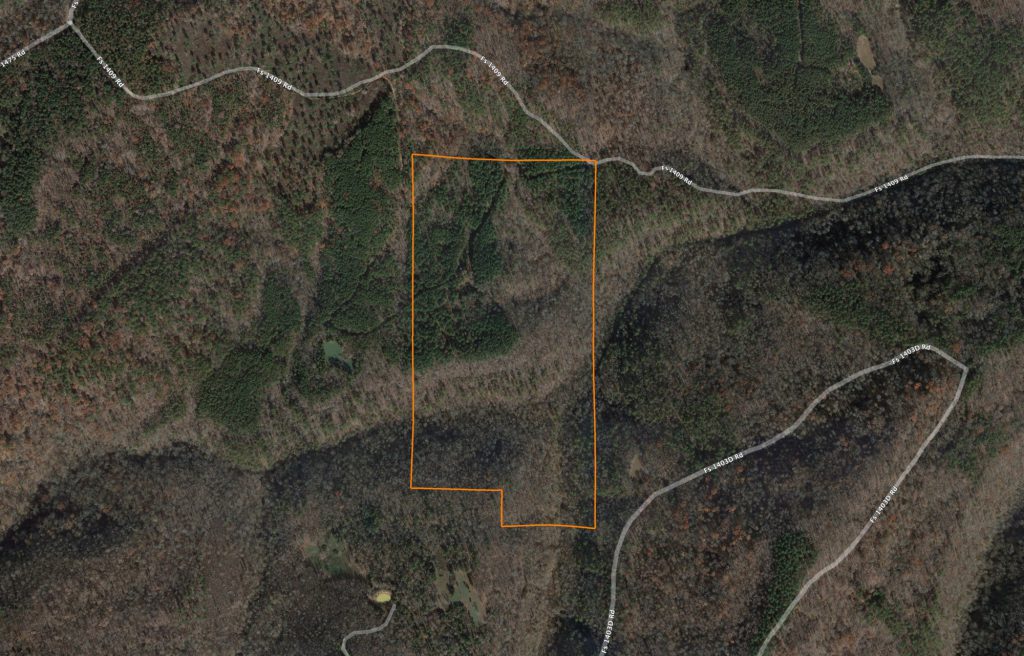 Spectacular 76 +/- Acres Bordering National Forest: Aerial View