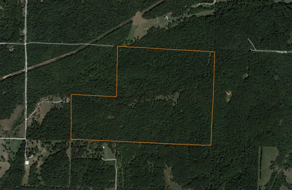 202 +/- Acres of Recreational Paradise in Newton County: Aerial View