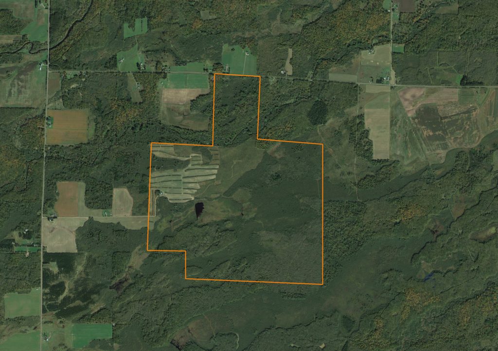 843 +/- Northern Wisconsin Rusk County Acreage: Aerial View