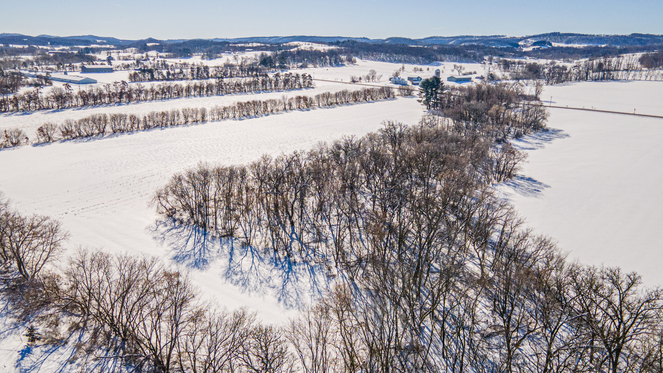 Buffalo 40 Midwest Land Group