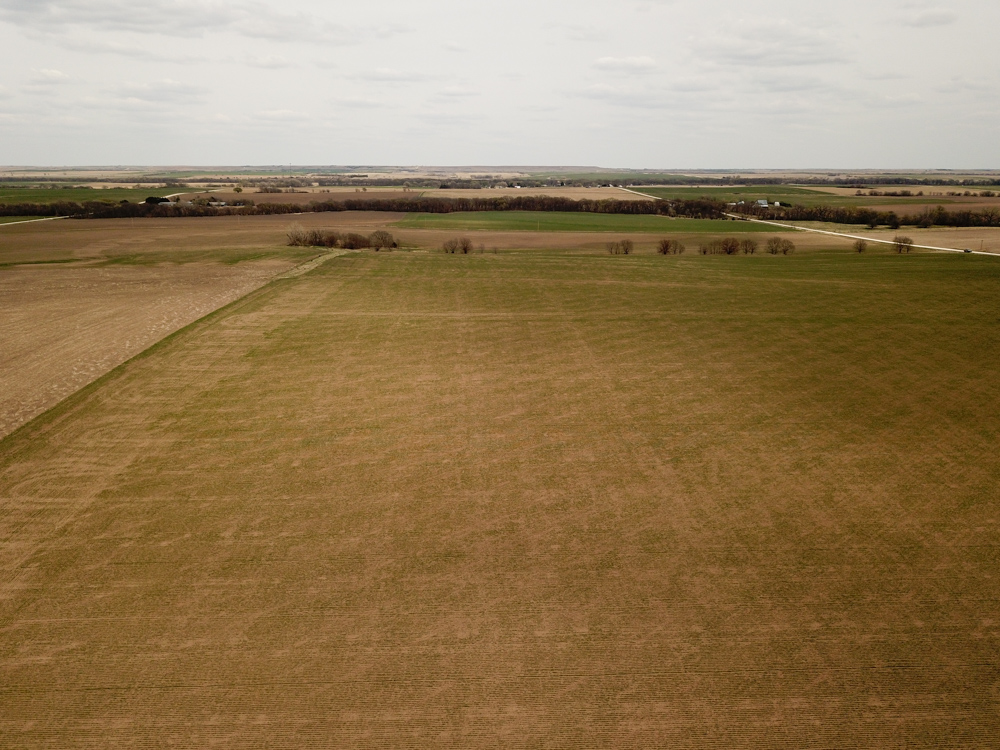 Jewell 60 Midwest Land Group