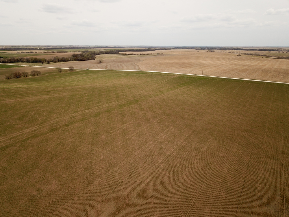 Jewell 60 Midwest Land Group