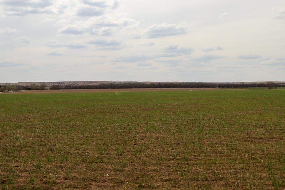 Jewell 60 Midwest Land Group