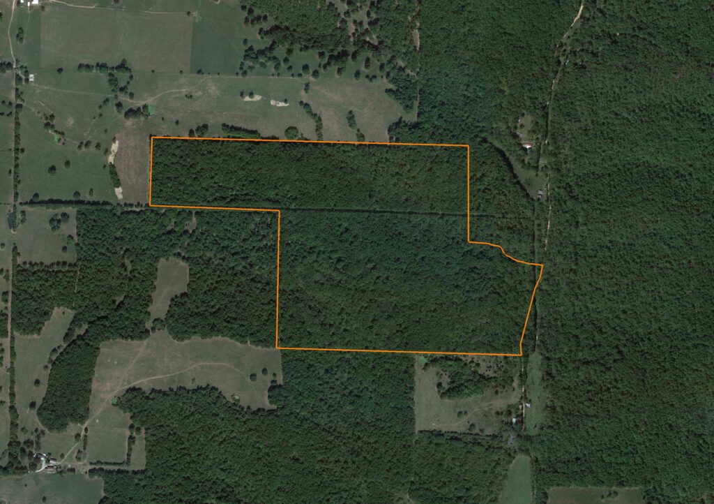 137.7 +/- Acre Timber Tract: Aerial View