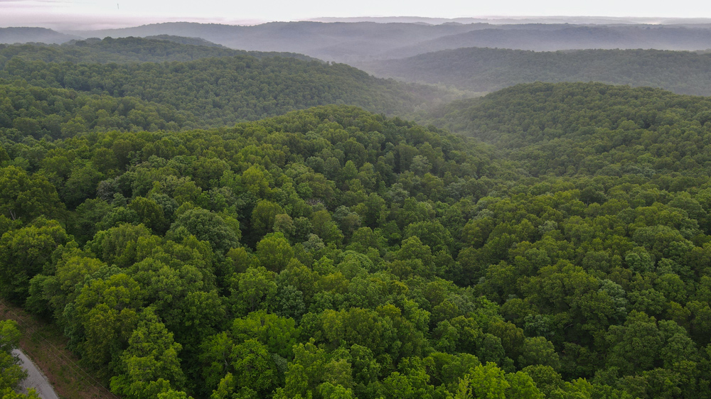 Stone 65 Midwest Land Group