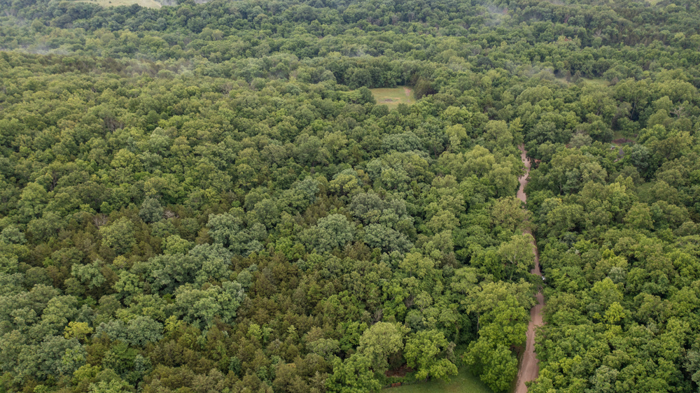 Webster 5 Midwest Land Group