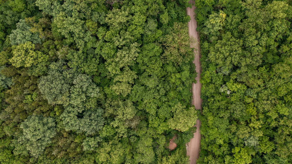 Webster 5 Midwest Land Group