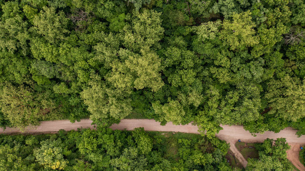 Webster 5 Midwest Land Group