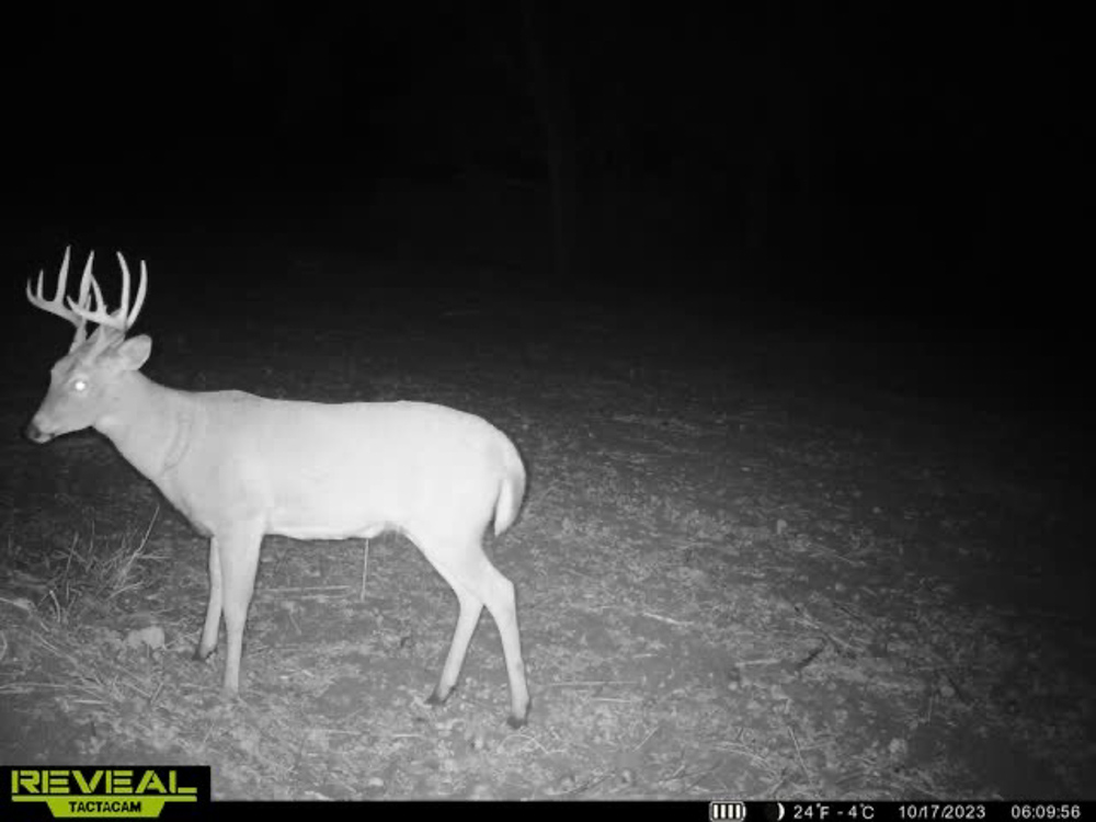 Ringgold 80 Midwest Land Group