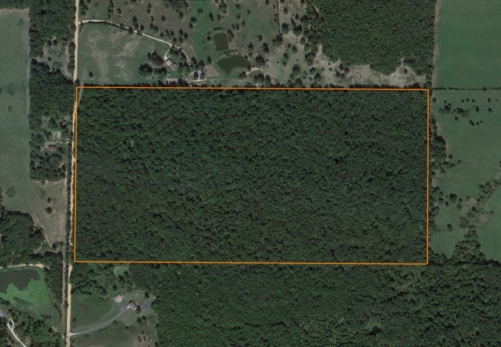 80 +/- Wooded Acres with Endless Possibilities: Aerial View