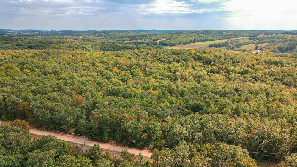 Camden 10 Midwest Land Group