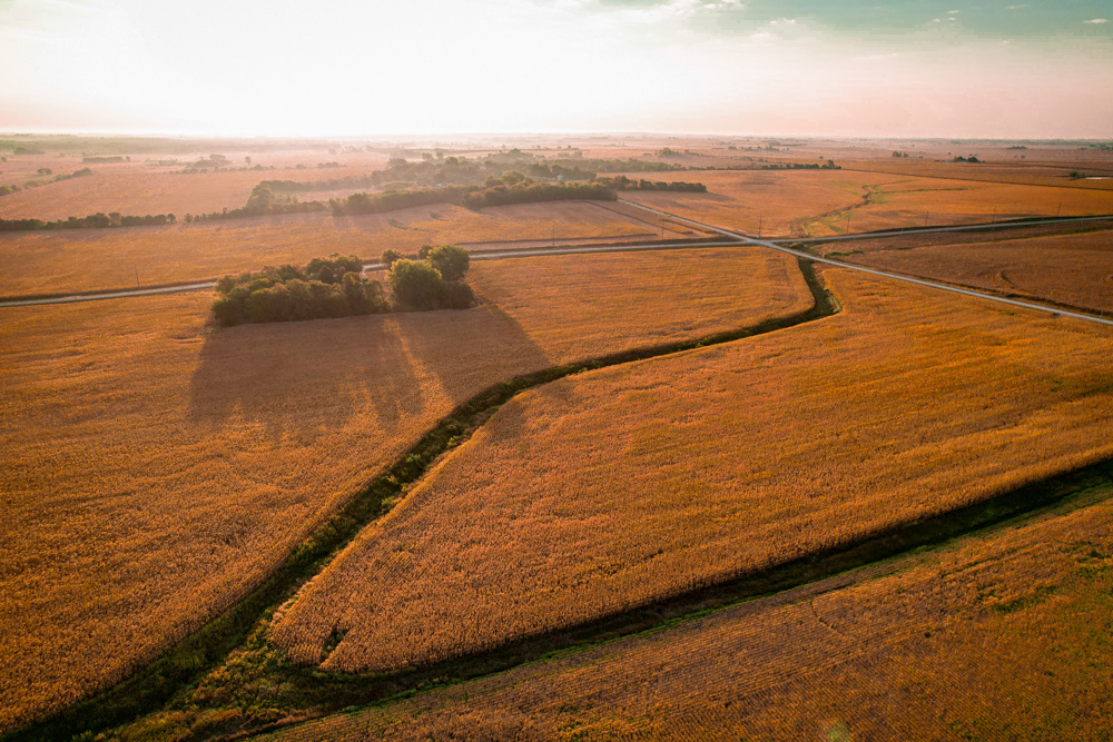 Butler 72 - Midwest Land Group