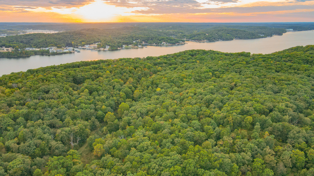 Camden 49 Midwest Land Group