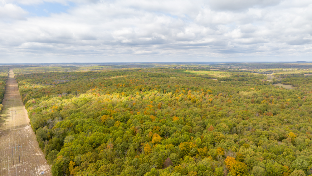 Dent 142 Midwest Land Group