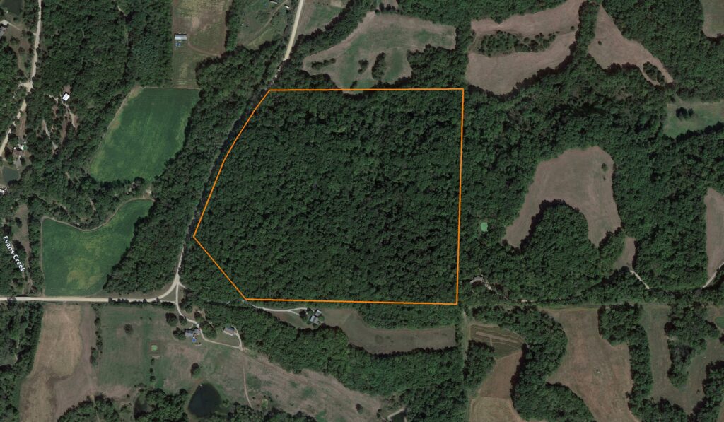 Timbered Hunting Tract: Aerial View