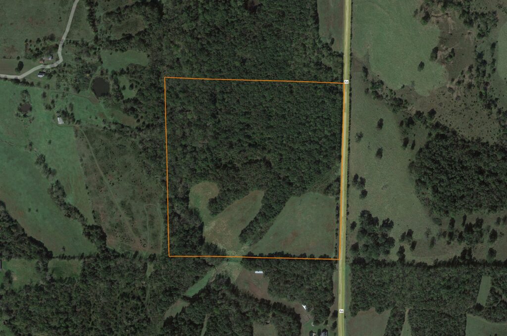 Recreation and Build Site on 40 Surveyed Acres: Aerial View