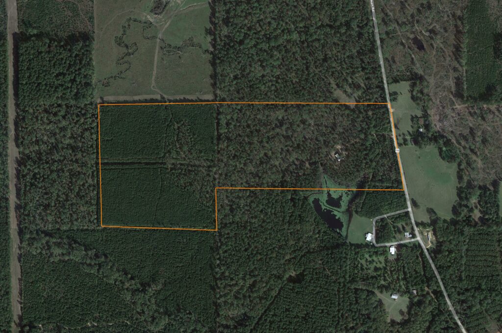Secluded Oasis: 80 +/- Acres of Prime Hunting with Fully Furnished Cabin: Aerial View