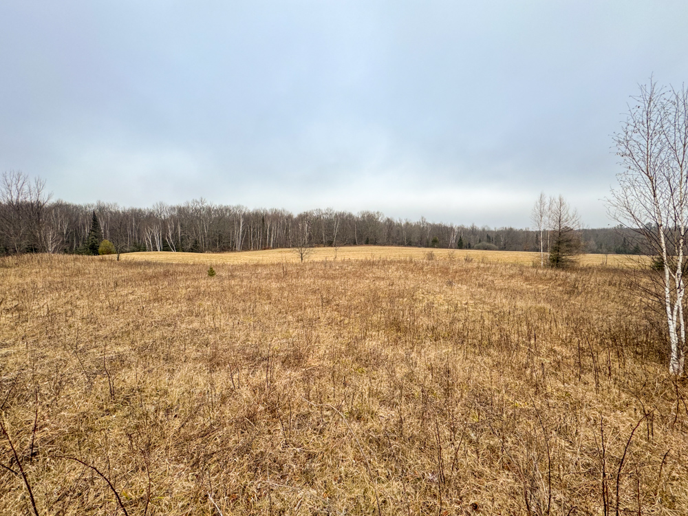 Price 80 Midwest Land Group