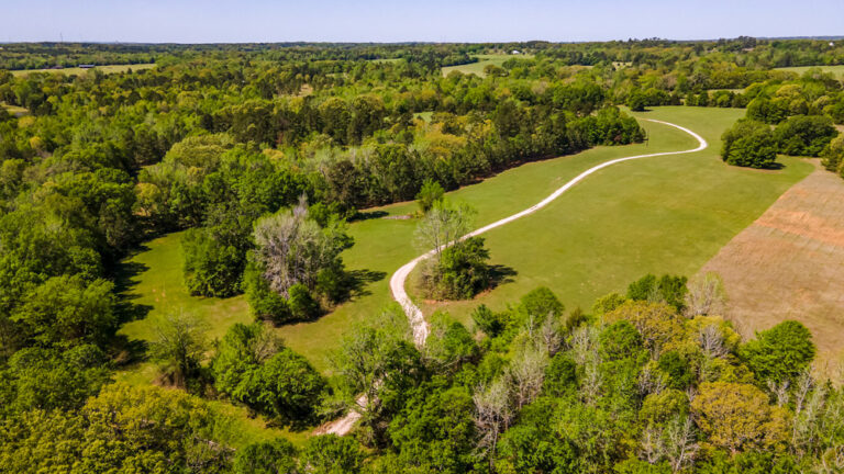 Stunning 50 +/- Acres Ready for Your Dream Home