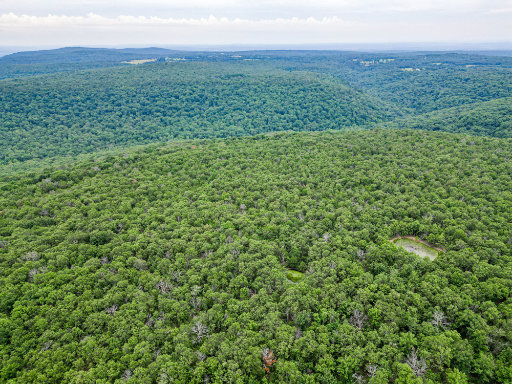 Sequoyah 70 - Midwest Land Group