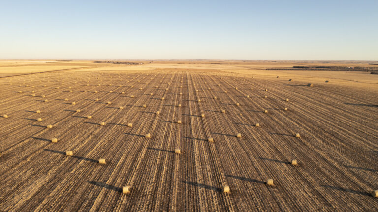 Buffalo County Tillable 157 Acres