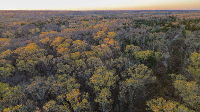 76 +/- Acres of Private, Wooded Paradise in Gated Community - Athens, Texas