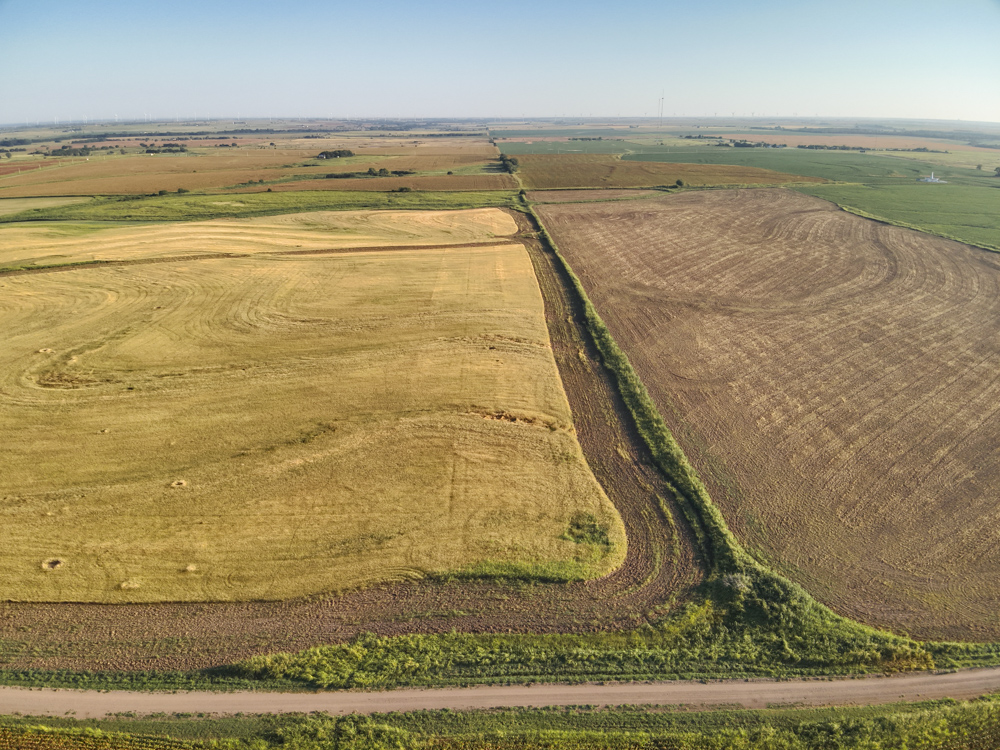 160 +/- Acres of Tillable Ground with Older Homestead and Loaded with Upland Birds