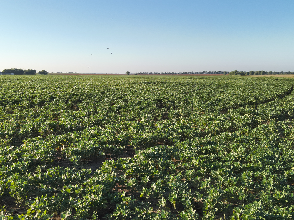 80 +/- Acres of Tillable Ground and Potential Build Site in Kay County, Oklahoma