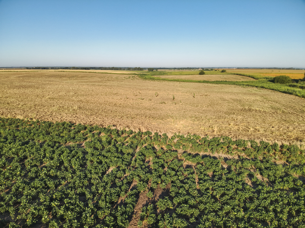 80 +/- Acres of Tillable Ground and Potential Build Site in Kay County, Oklahoma