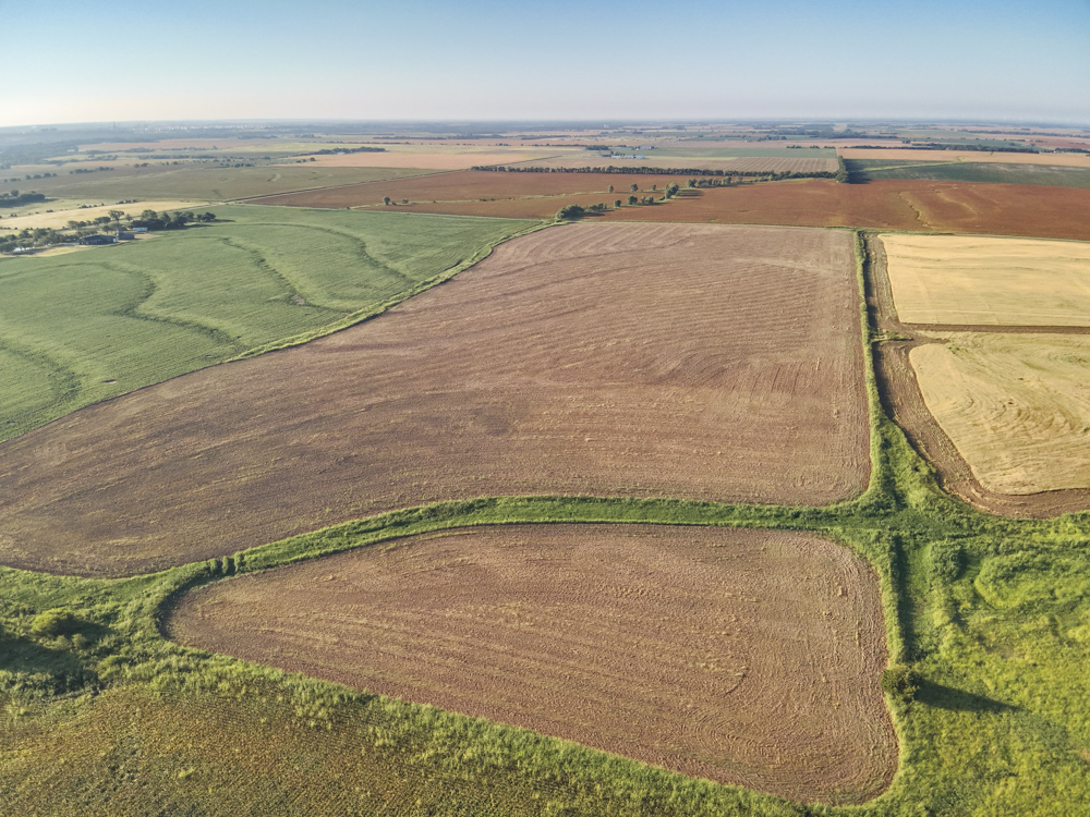 160 +/- Acres of Tillable Ground with Older Homestead and Loaded with Upland Birds