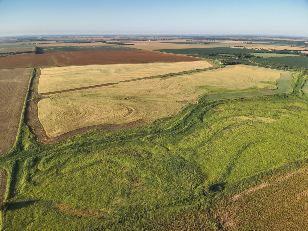 160 +/- Acres of Tillable Ground with Older Homestead and Loaded with Upland Birds