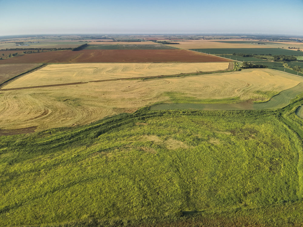 160 +/- Acres of Tillable Ground with Older Homestead and Loaded with Upland Birds