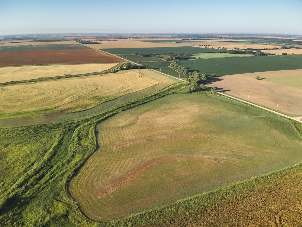 160 +/- Acres of Tillable Ground with Older Homestead and Loaded with Upland Birds