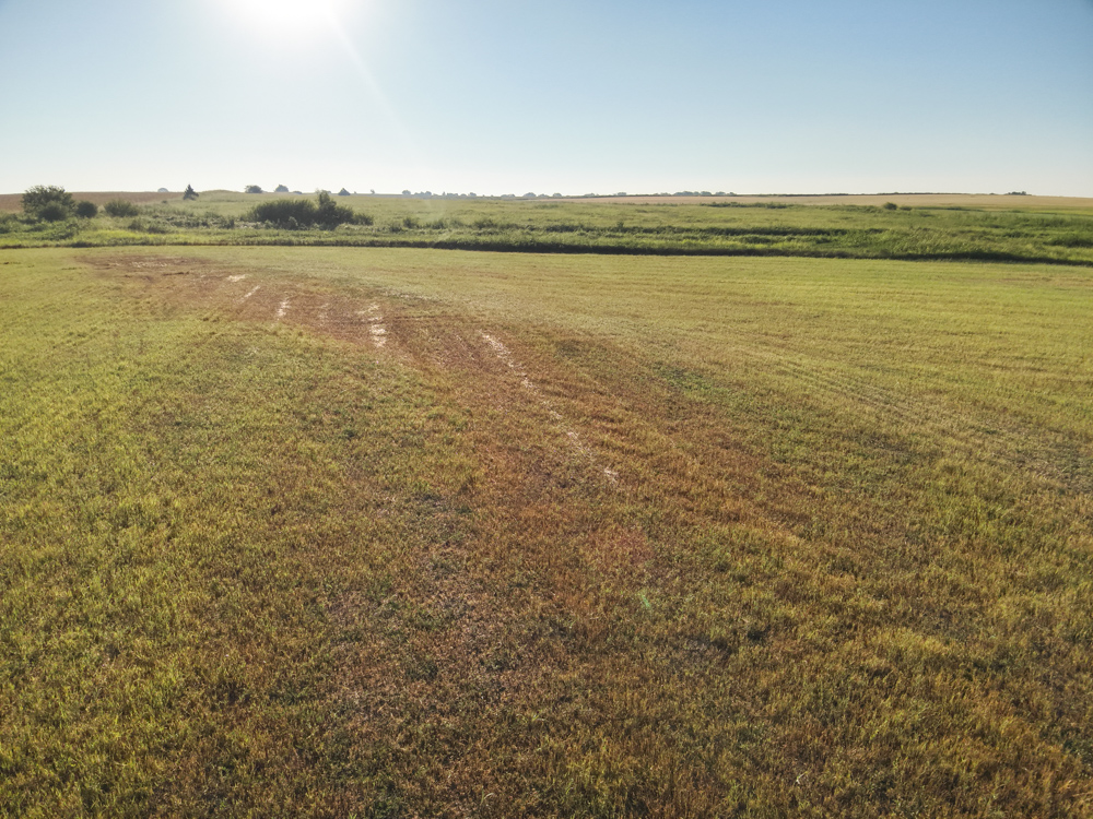 160 +/- Acres of Tillable Ground with Older Homestead and Loaded with Upland Birds