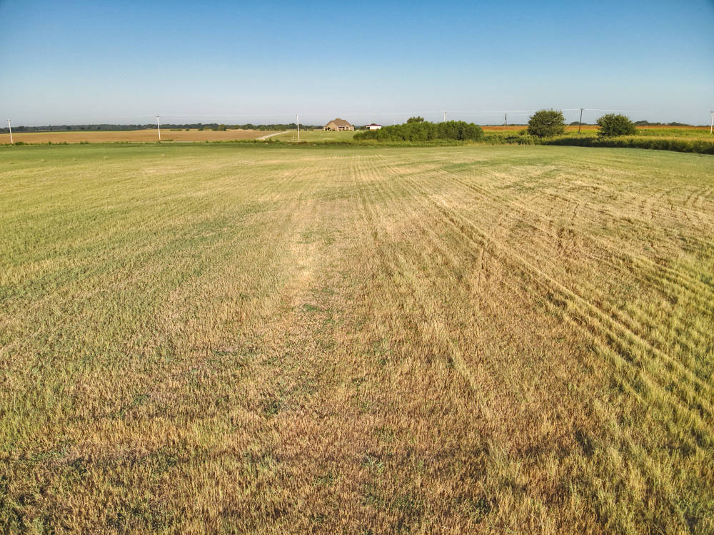 160 +/- Acres of Tillable Ground with Older Homestead and Loaded with Upland Birds