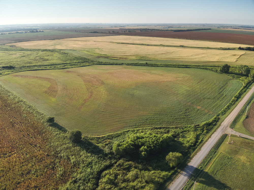 160 +/- Acres of Tillable Ground with Older Homestead and Loaded with Upland Birds
