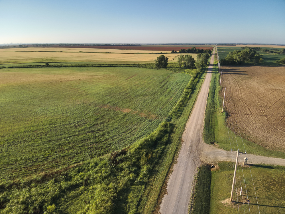 160 +/- Acres of Tillable Ground with Older Homestead and Loaded with Upland Birds