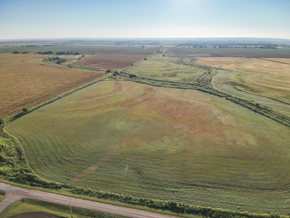 160 +/- Acres of Tillable Ground with Older Homestead and Loaded with Upland Birds