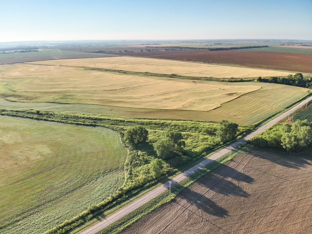 160 +/- Acres of Tillable Ground with Older Homestead and Loaded with Upland Birds