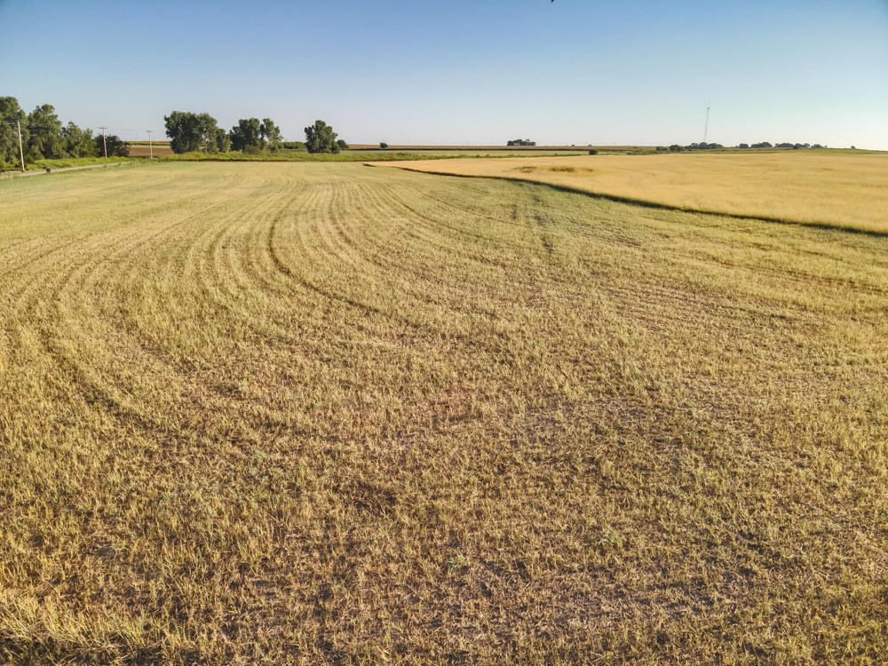 160 +/- Acres of Tillable Ground with Older Homestead and Loaded with Upland Birds