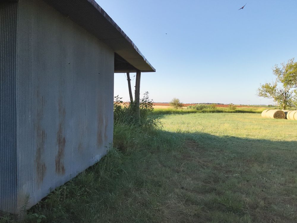 160 +/- Acres of Tillable Ground with Older Homestead and Loaded with Upland Birds