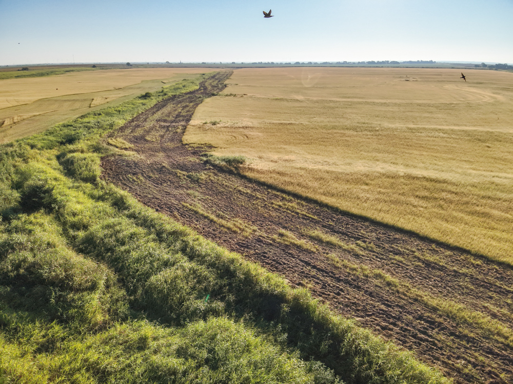 160 +/- Acres of Tillable Ground with Older Homestead and Loaded with Upland Birds