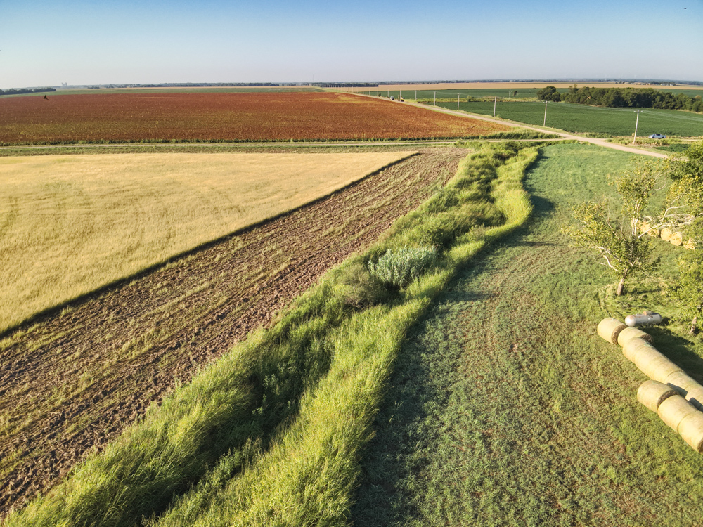 160 +/- Acres of Tillable Ground with Older Homestead and Loaded with Upland Birds