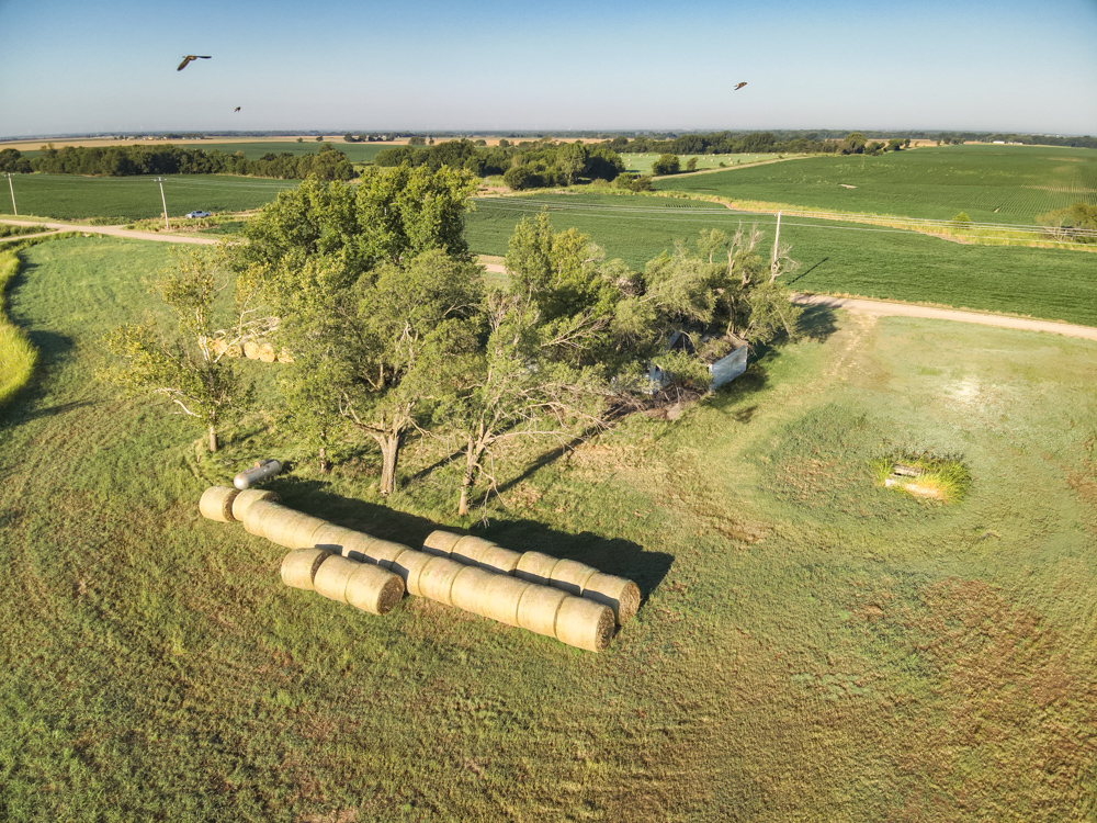 160 +/- Acres of Tillable Ground with Older Homestead and Loaded with Upland Birds