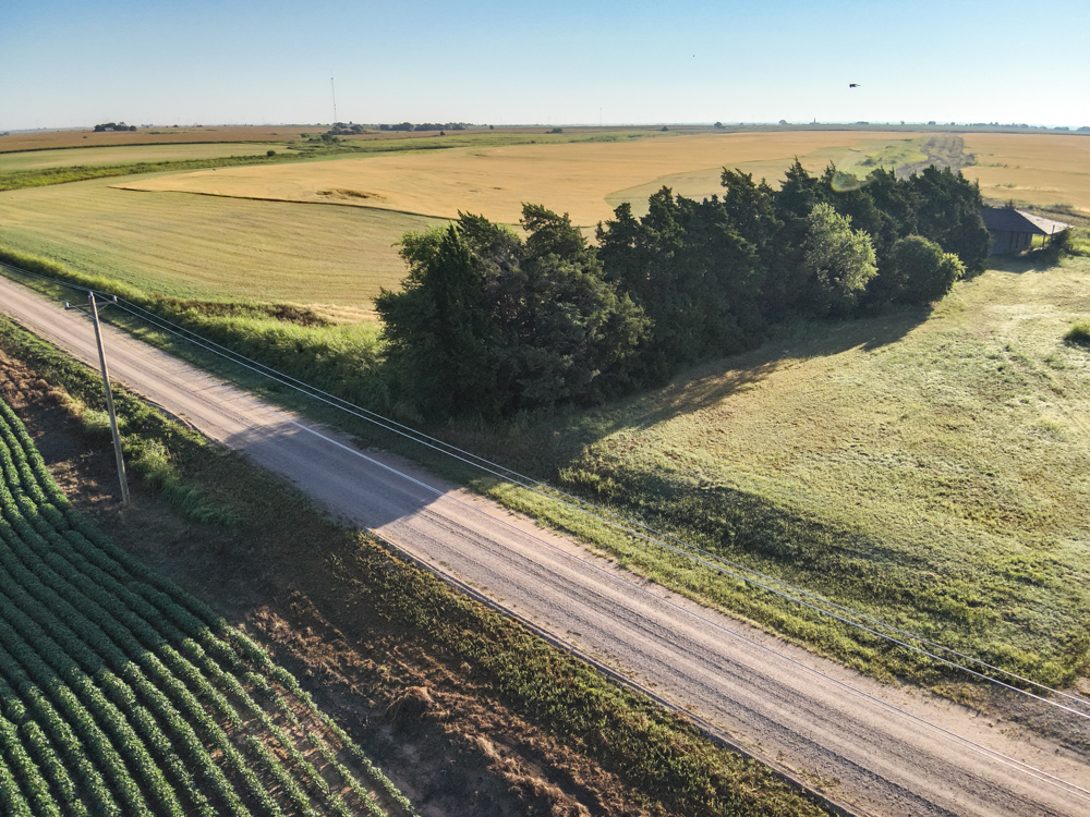 160 +/- Acres of Tillable Ground with Older Homestead and Loaded with Upland Birds