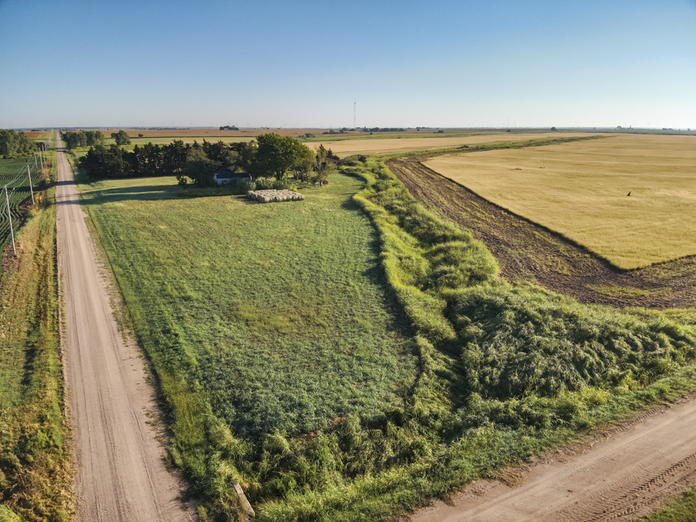 160 +/- Acres of Tillable Ground with Older Homestead and Loaded with Upland Birds